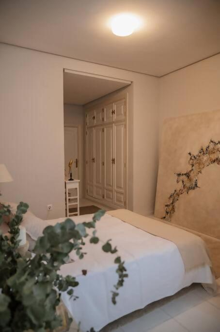 Casa Aguila Casco Antiguo Patio Privado Apartment Caceres Bagian luar foto